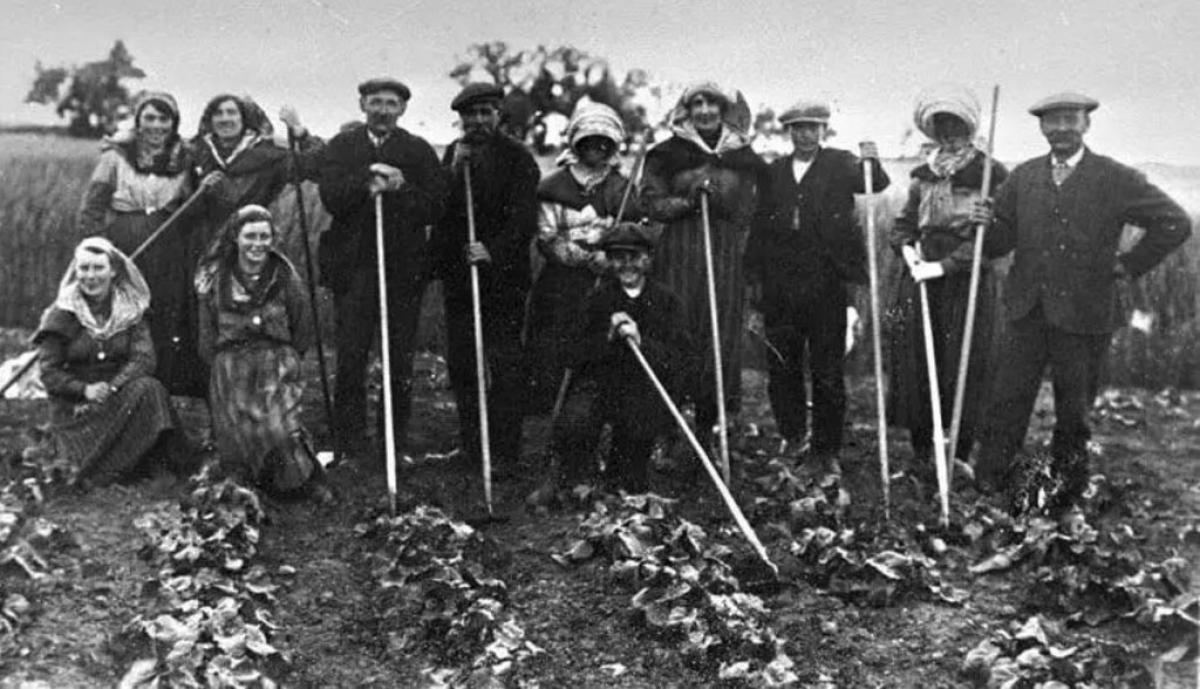 Sobre los problemas del salario mínimo agrícola en el Reino Unido en los años veinte